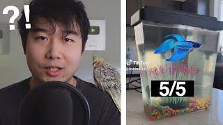 she learned real quick | Fish Tank Review 241