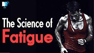 Born to Run 4 | The Science of Fatigue