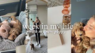 WEEKLY VLOG! (the reality of puppy life…, new routines + training my puppy!)