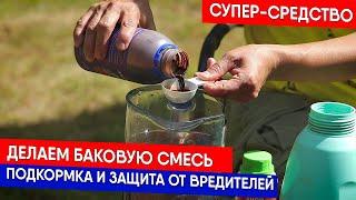 Делаем баковую смесь: подкормка и защита от вредителей