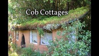 Can You Make A HOUSE FROM DIRT? Cob Cottage Tour!