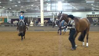 Oklahoma Quarter Horse Association Redbud Spectacular- Arena warmup