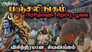 அதிசய பஞ்சலிங்கத்தின் பூஜை ️ திருமூர்த்தி மலை பஞ்சலிங்கம்  Thirumoorthy Waterfalls / Shivalingam