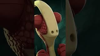 Rocky wants the best gift for Ayati | Gigantosaurus in English