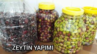 (SİYAH,YEŞİL,MOR)ZEYTİN NASIL KURULUR