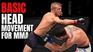 Understand Head Movement Basics for MMA