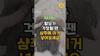 탈모가 걱정될 땐 샴푸에 이거 넣어보세요! #탈모 #건강정보