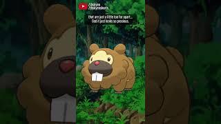  Bidoof  ... and Bibarel, I guess. || #pokemon review