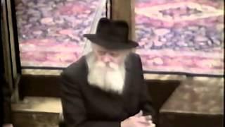 #221: Rabbi JJ Hecht tells the Rebbe a story at the Rally - Daily Rebbe Video