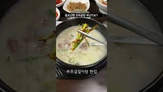 몸보신하고 싶을 때 무슨 음식드세요? 난 꼬리곰탕  #사상맛집 #부산양지탕