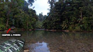 The night by the River Nembak Fish | Fishing Camp Bushcraft Adventure Part 28