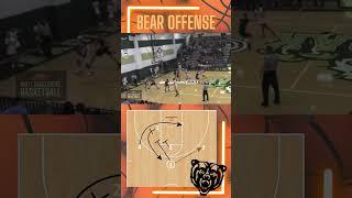 Bear Offense