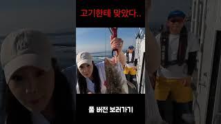 물고기한테 맞아본 적 있으세요? #fishing #낚시 #캠핑