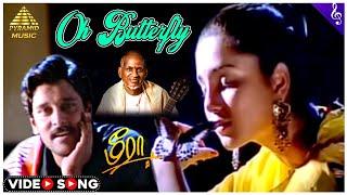 O Butterfly Video Song | Meera Tamil Movie Songs | Vikram | Aishwarya | Ilaiyaraaja | Pyramid Music