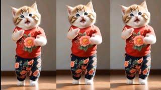 Cute cat funny dancing video#dancingcat #funnypet #catvideos @furry-cornerz