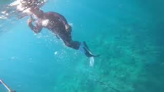 OAHU DIVING JUSTDROP