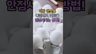 지방 연소를 촉진하고 혈당을 안정시키는 방법! #혈당안정 #지방연소