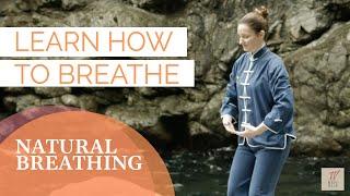 Yuan Qigong - Natural breathing | Learn how to breathe