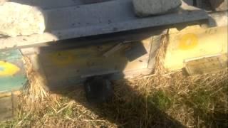 Ранний облёт пчелы на Кубани у знаменитого пчеловода
