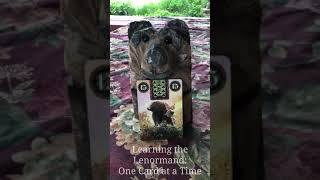 LEARNING THE LENORMAND:  #15 Bear