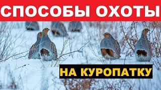  ЭФФЕКТИВНЫЕ СПОСОБЫ ОХОТЫ НА КУРОПАТКУ!