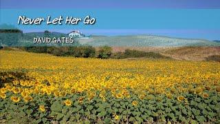 "Never Let Her Go" w/ Lyrics DAVID GATES