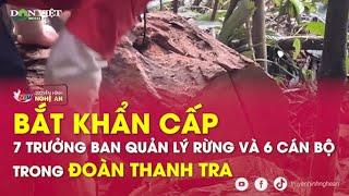 Bắt khẩn cấp 7 trưởng ban quản lý rừng và 6 cán bộ trong đoàn thanh tra