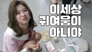 [TWICE] 트와이스 사나 - 이세상 귀여움이 아니야 - 애교 덩어리 잔망사나 샤랑둥이