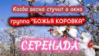 КОГДА ВЕСНА СТУЧИТ В ОКНО - группа "Божья коровка"