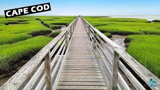 Exploring Cape Cod, Massachusetts - Our Top Things To Do