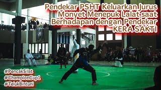 PSHT (Agus RM) vs IKS PI (Korneles) | Final Kelas G Remaja Putra Pencak Silat Champion Cup I Bintuni