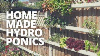 Build Your Own Cheap & Easy Home Hydroponics