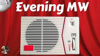 Tecsun 2P3 AM DIY Radio Kit Evening MW