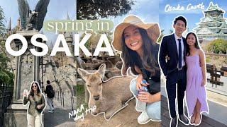 Universal Studios, Destination Wedding, Nara, Shopping and Eating in Osaka | Osaka Vlog 2024