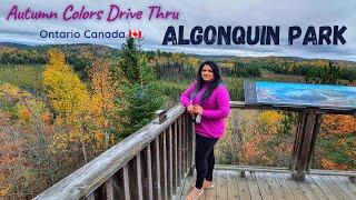 Algonquin Park  - Algonquin Park Visitor Center - Best place to visit in Ontario