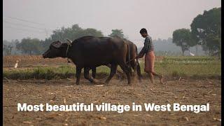 Rural village life India | Rural life of West Bengal | Bengal village | Most beautiful village |