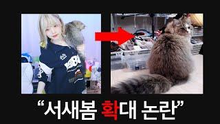 서새봄 고양이 확대 논란