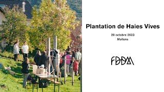 FDDM - Plantation de haies vives