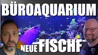 Seit 14 JAHREN das 1. MAL Tiere kaufen im Meerwasserfachhandel!!!