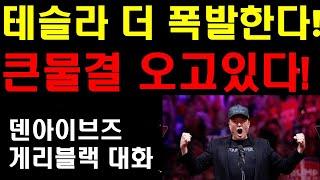 테슬라 더 폭발한다! 큰물결이 오고있다! 세상을 뒤집어놓을 그것! 덴아이브즈와 개리블랙의 대화 분석! 로보택시가 가까웠다! 세상은 아직도 모른다! 모든투자는 10년후를 바라보라!