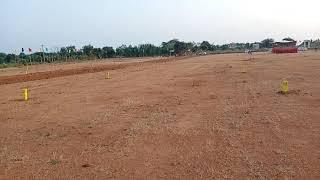 Farm land at pembarti on warangal highway road