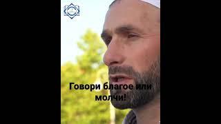 Говори благое или молчи!