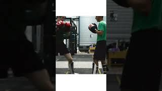 Re-Chambering Punches | No 483