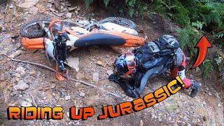 RIDING UP JURASSIC!! Watagan state forest NSW Australia. Yamaha WR250R, KTM, GAS GAS.