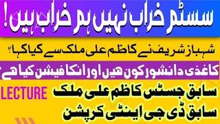 Justice (R) Kazim Ali Malik ex DG anti corruption Punjab| 'system is not at fault'