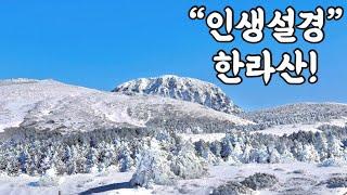 역대급 설산 풍경을 한라산에서 만나고 왔습니다!️ “한라산 윗세오름”