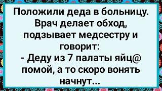 Как Врач Медсестре Задание Выдал! Большой Сборник Свежих Смешных Жизненных Анекдотов!