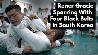 Rener Gracie vs. 4 Korean Black Belts