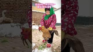 #人类幼崽春节打卡计划 米姐和幄幄第一次回老家过年，米姐那可真是太兴奋了，#农村生活  #晒出你的玩偶搭子 ，米姐今冬的玩偶搭子就是这几只鸡！#河南dou知道   #放手过好年