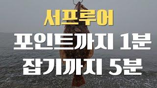 광어가 그리운 초보 필시청 / 세상 편한 서프루어 포인트 - 7월 12일